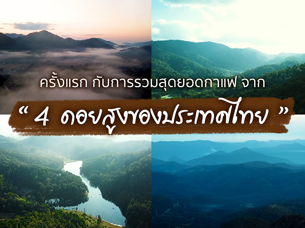 อะไรคือกาแฟ 4 VALLEYS (โฟร์ วัลเลย์ ) ??