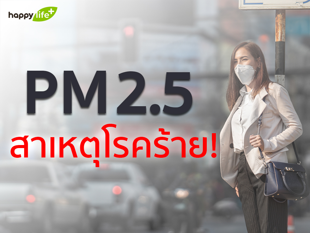 PM 2.5 ภัยร้าย ทำลายสุขภาพ