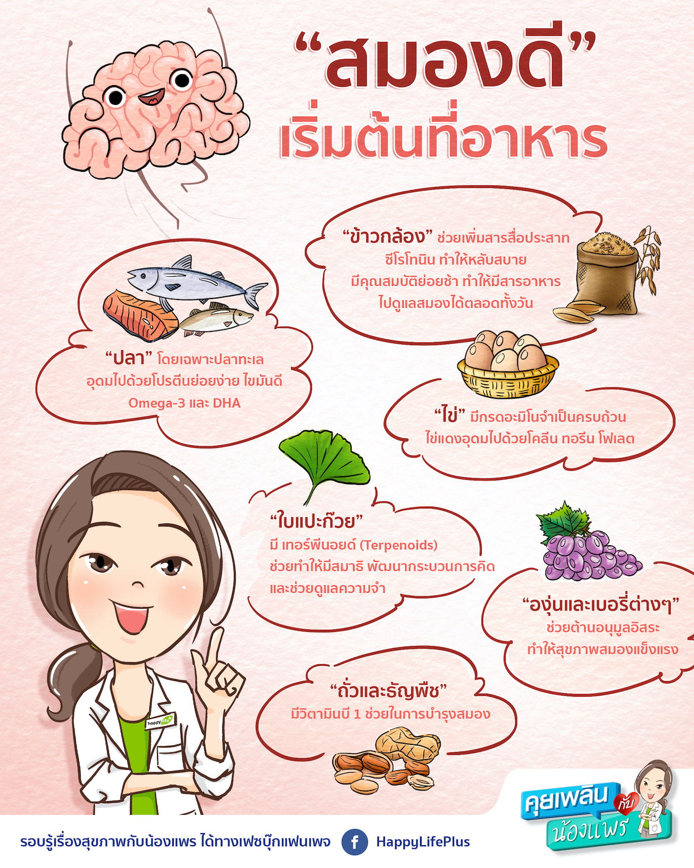 สุดยอดอาหารบำรุงสมอง - จำหน่ายสินค้าและบริการ ผ่านช่องทางออนไลน์ : บริษัท  แฮปปี้ โปรดักส์ แอนด์ เซอร์วิส จำกัด