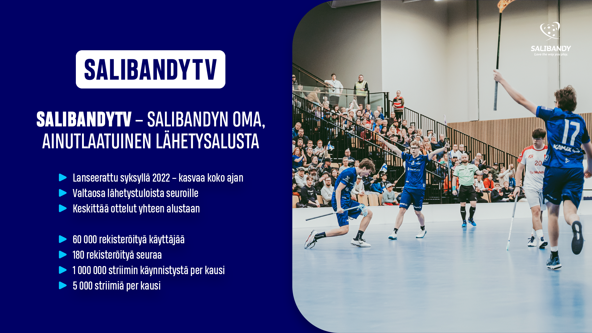 SalibandyTV