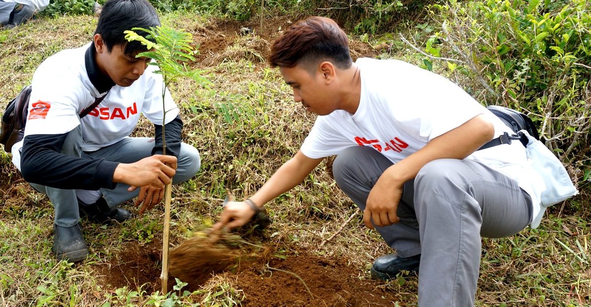 penanaman 6000 pohon nissan