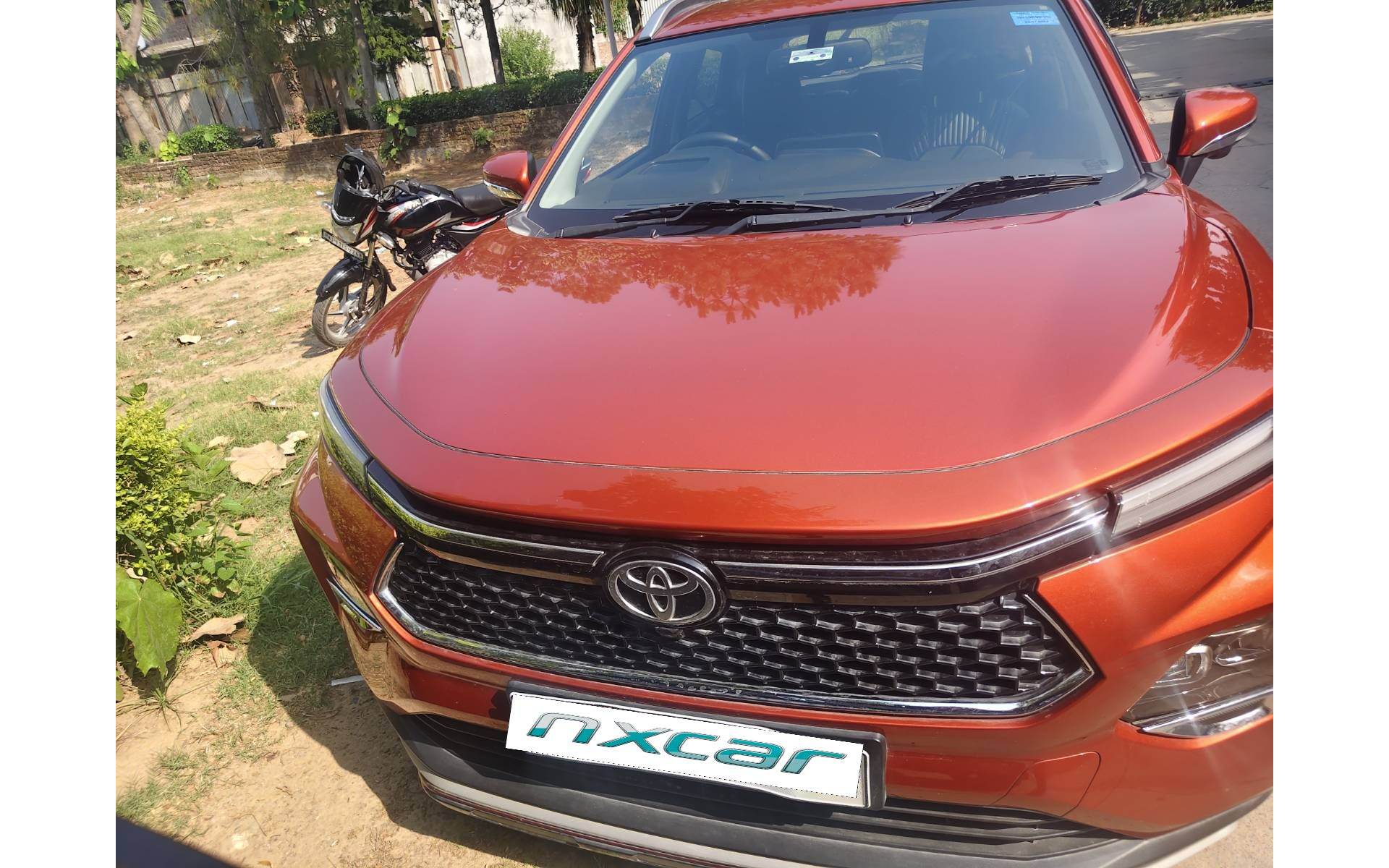 Toyota Urban Cruiser