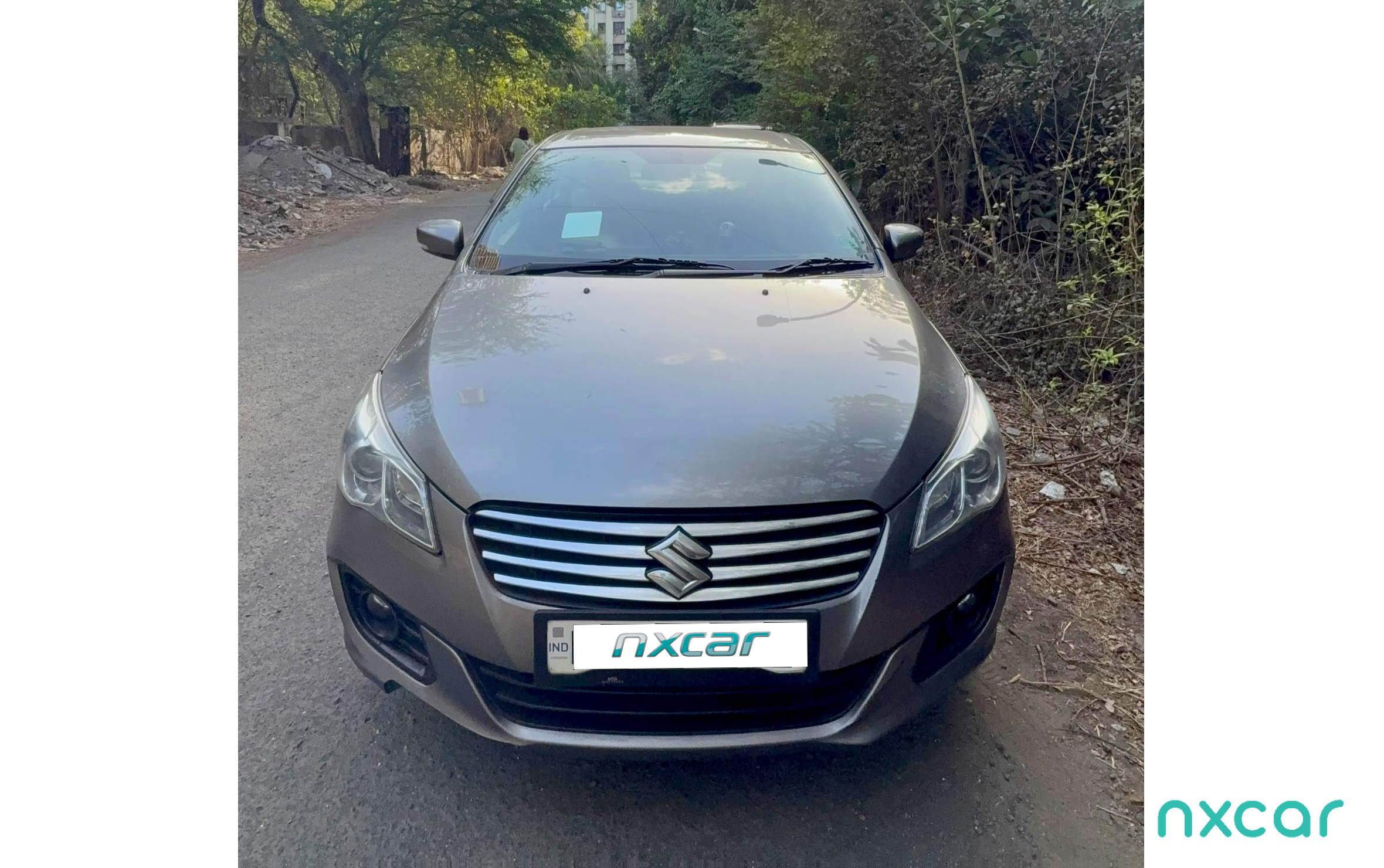 Maruti Suzuki Ciaz