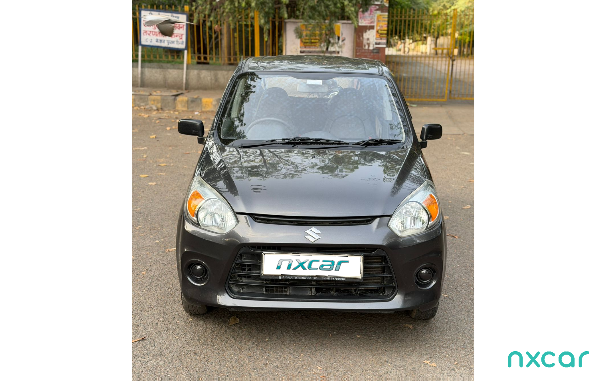 Maruti Suzuki Alto 800
