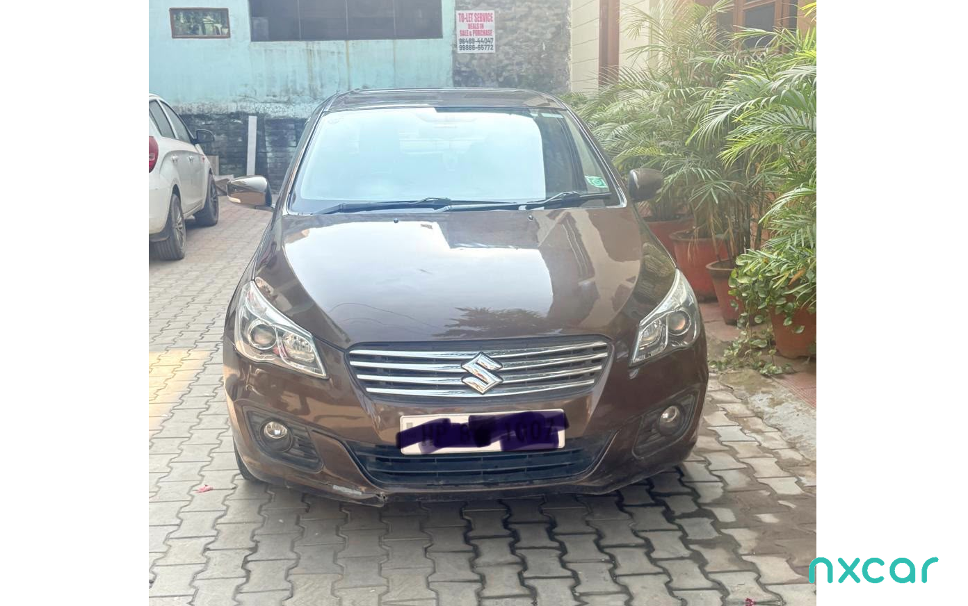 Maruti Suzuki Ciaz