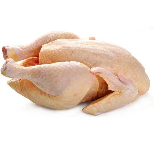 Premium Country Chicken - Live - Image 1