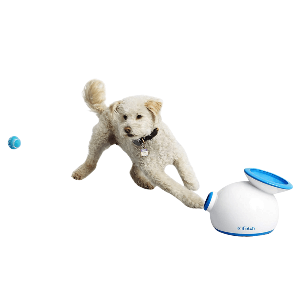 iFetch Original Ball Launcher Top dogs on price Pet Circle