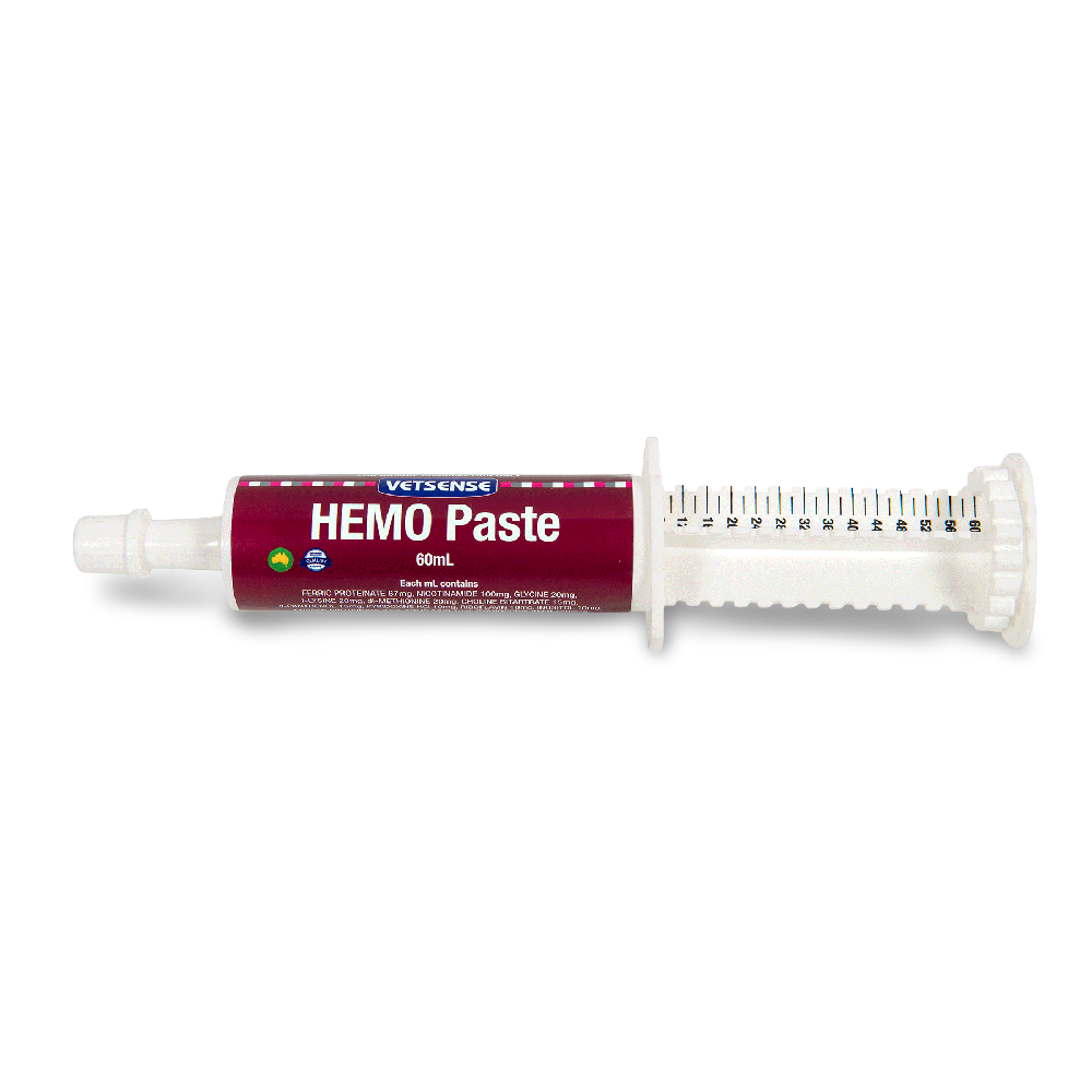 Vetsense Hemo Paste