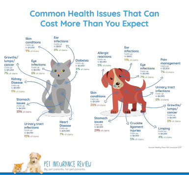 Common Pet Costs