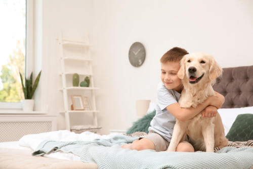 how do dogs choose their favourite person