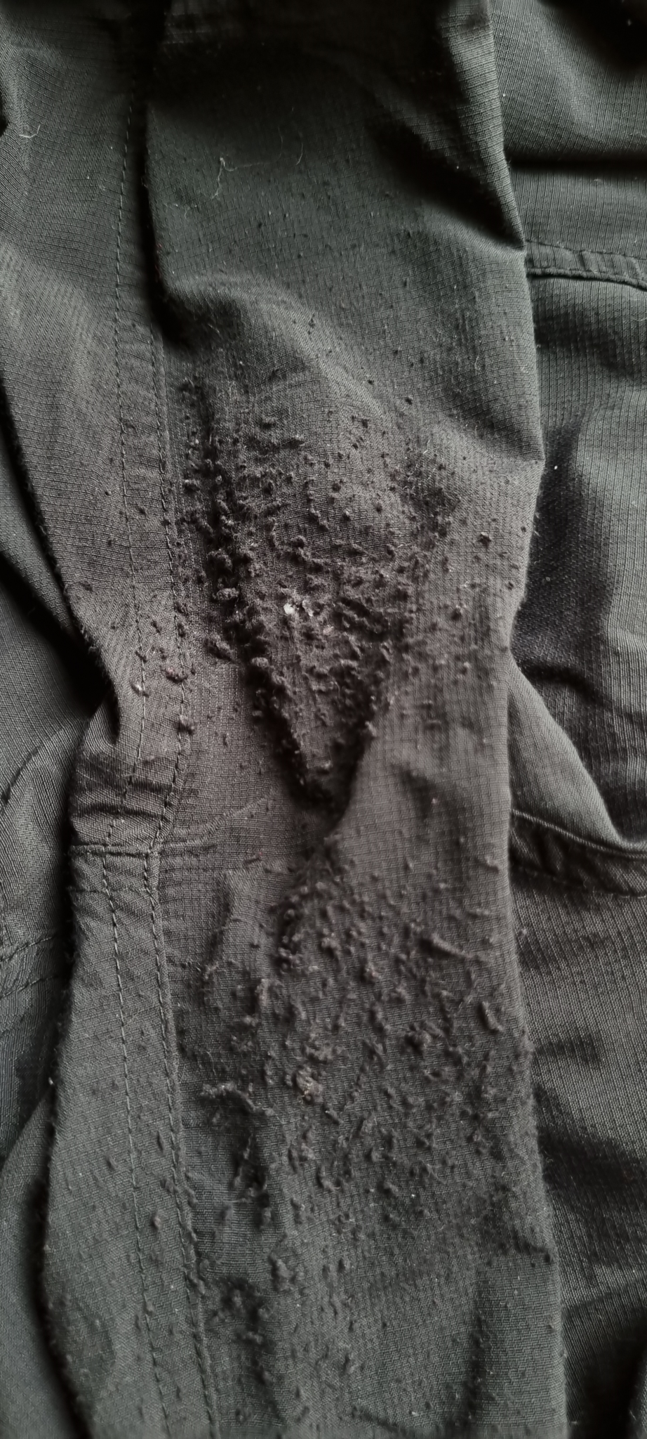 Kathmandu Black Pants size 16, image 3
