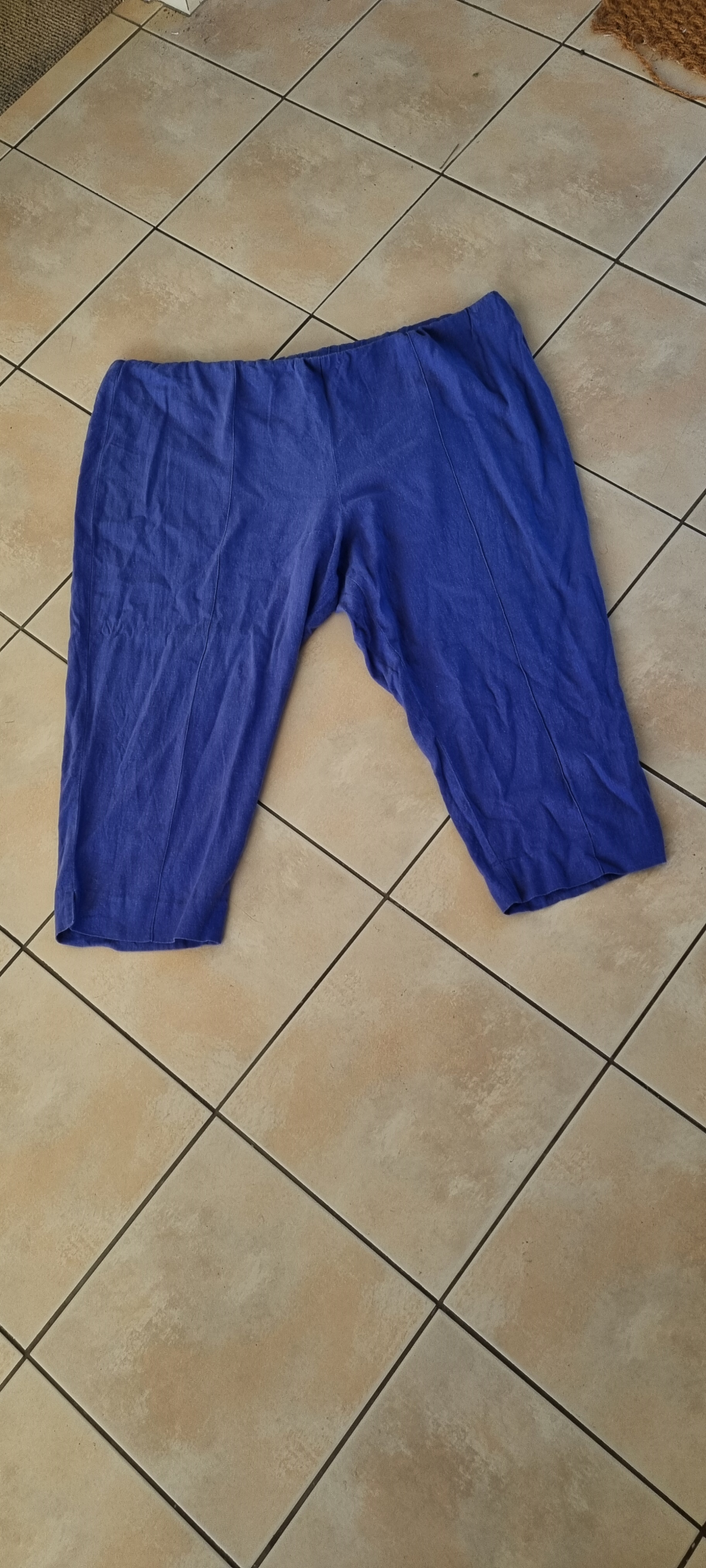 TS Taking Shape Linen Blend Pants size 22
