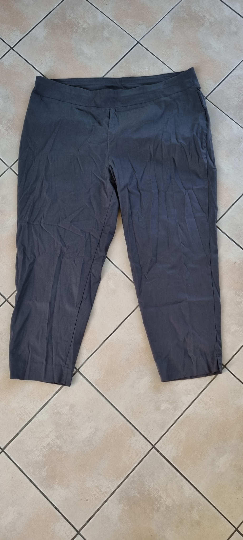 TS Taking Shape Pants size 22