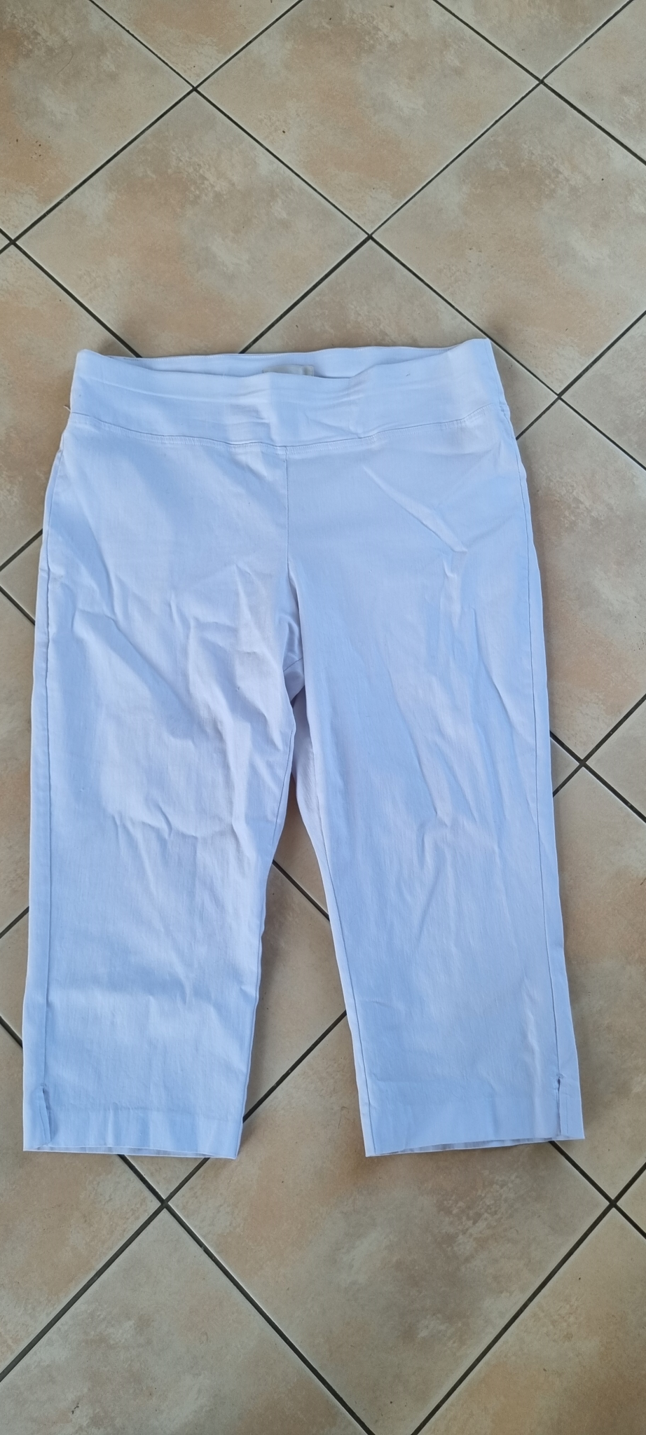 Studio Curve Pants size 20