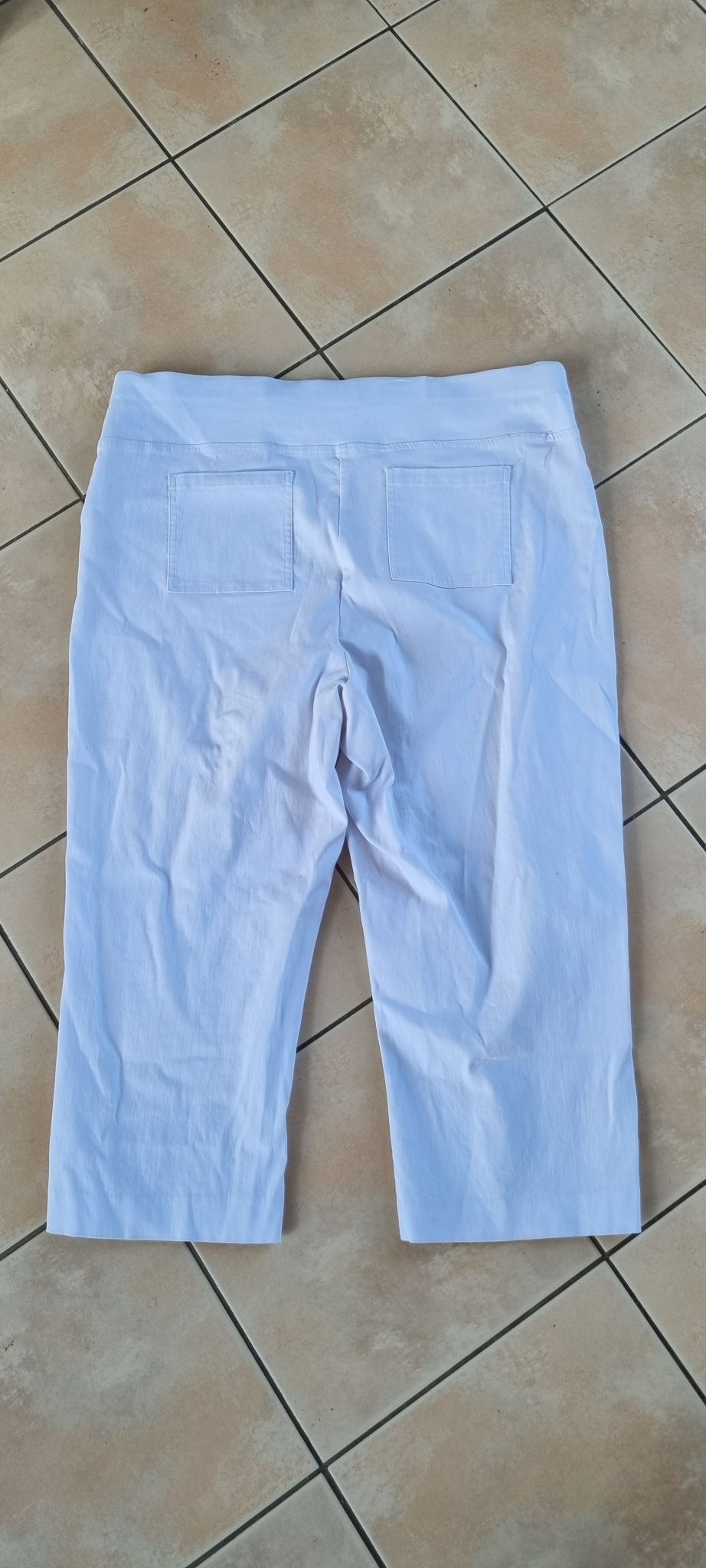 Studio Curve Pants size 20, image 2