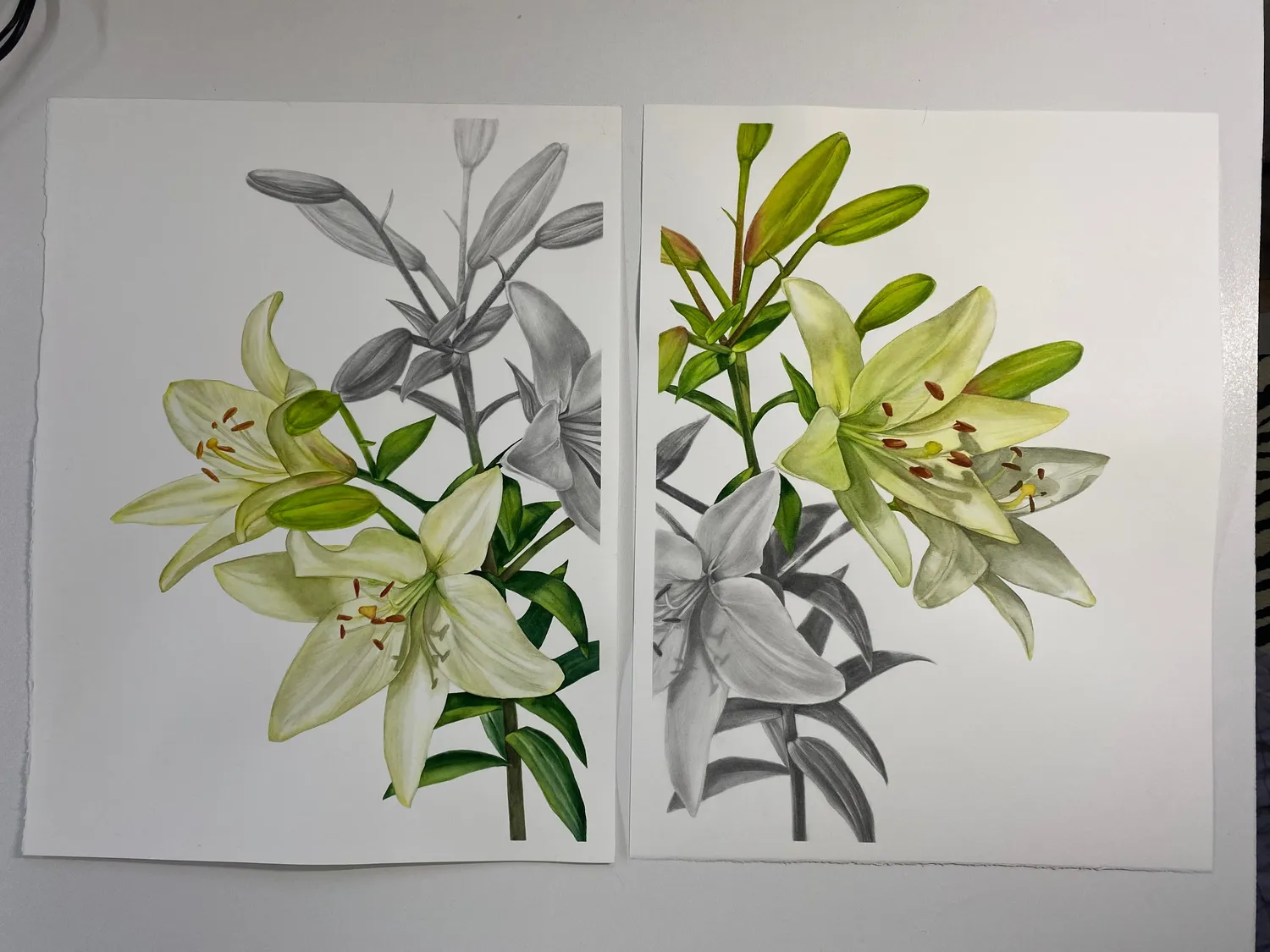 DIPTYCH `THE EDGE`, part II Photorealistic Painting Anna Lyashenko - Subjektiv.art 3