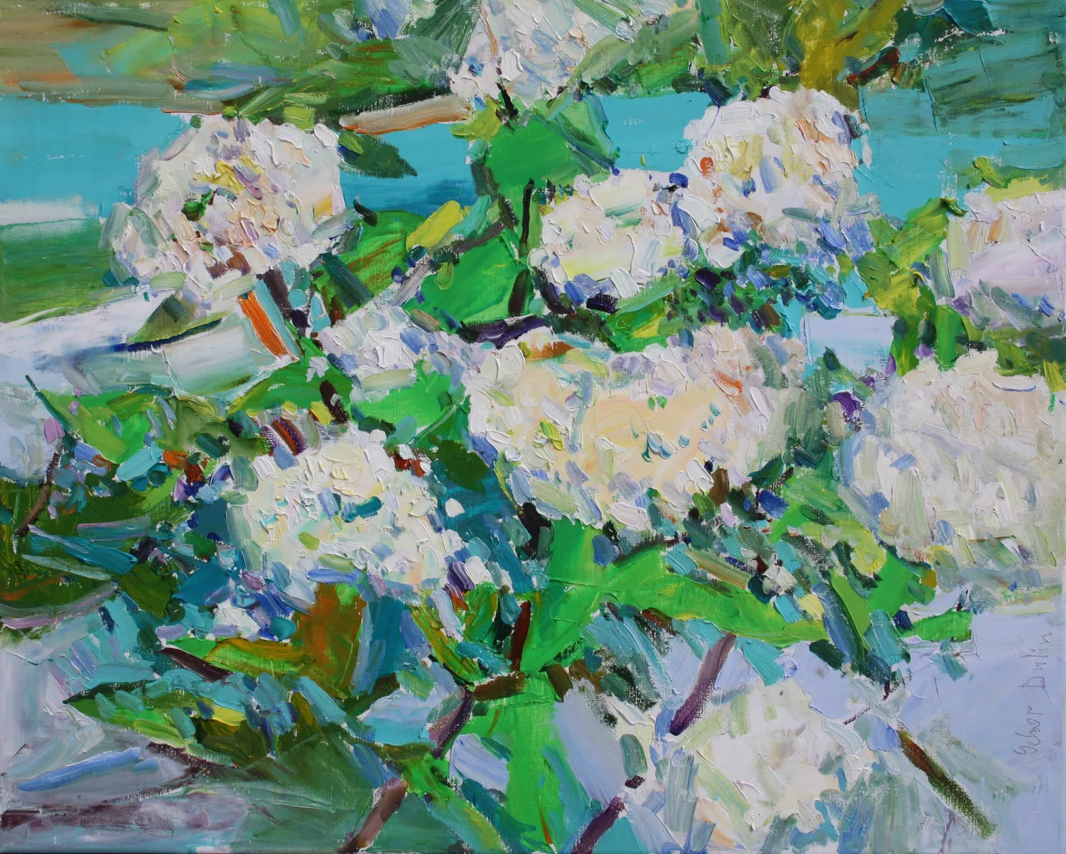 Flowers and plants