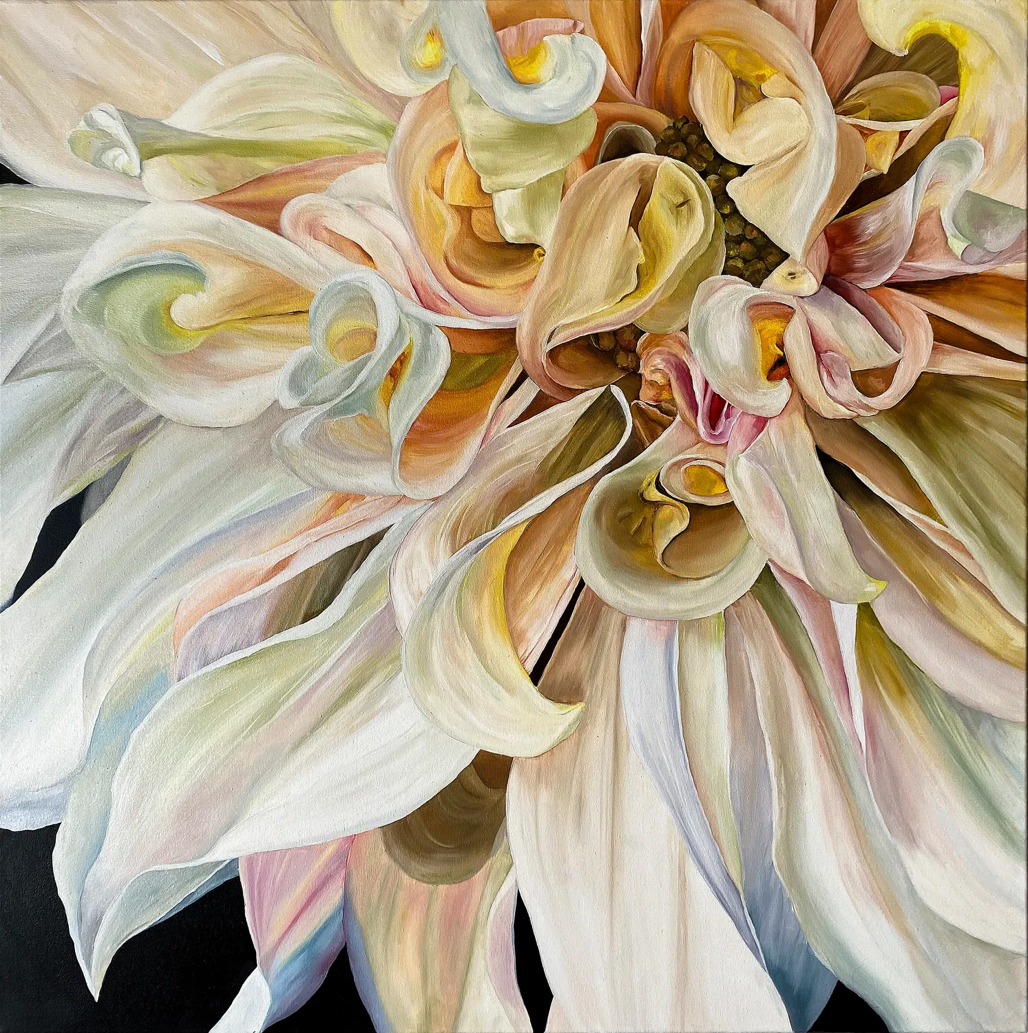 Flowers and plants