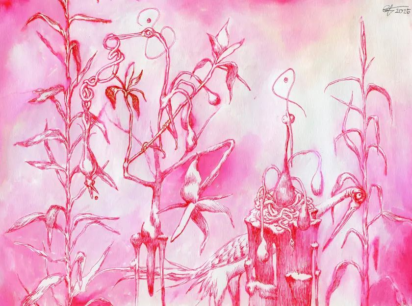 Bird diet - Subjektiv.art