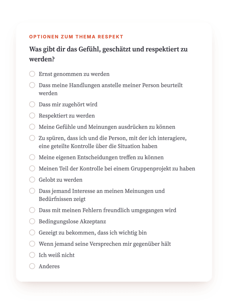 Vorschau, ein Auszug aus einem Schritt des Programms