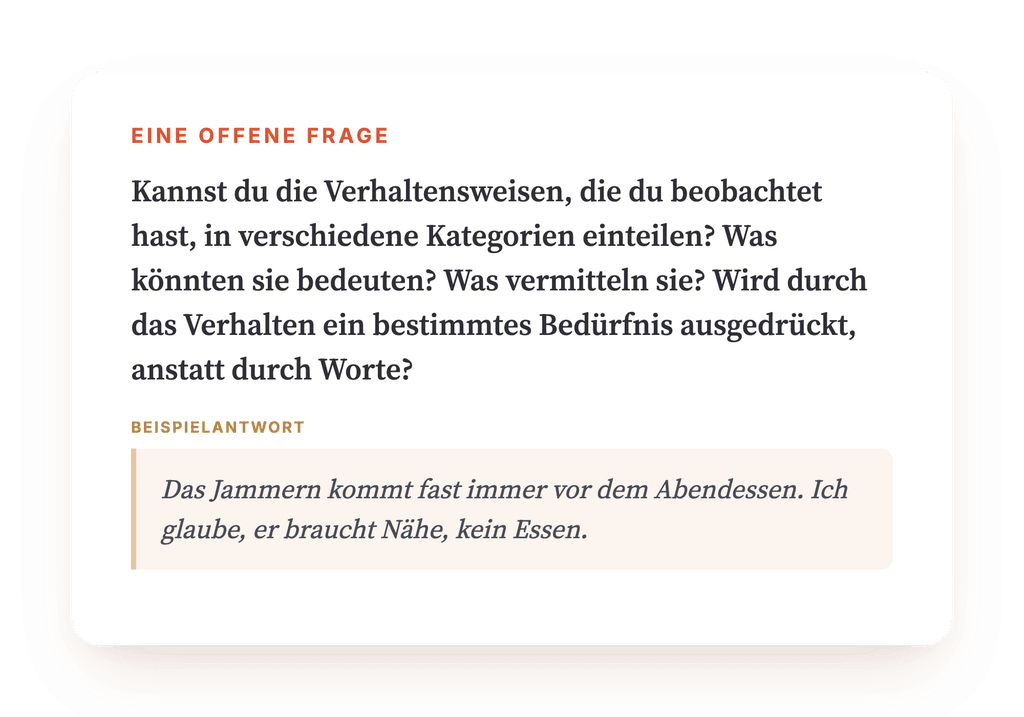 Vorschau, ein Auszug aus einem Schritt des Programms