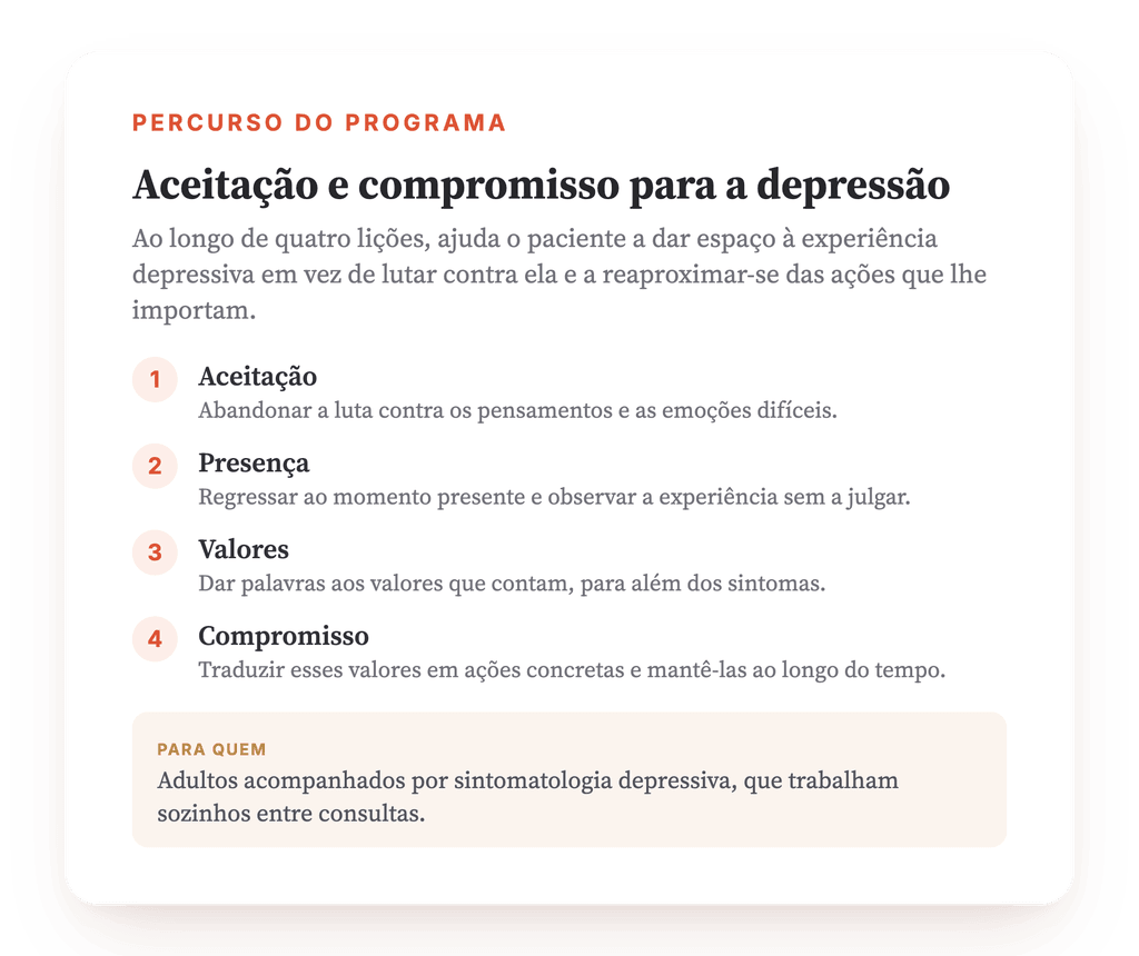 Visão geral do programa · O mapa do programa, lição a lição.