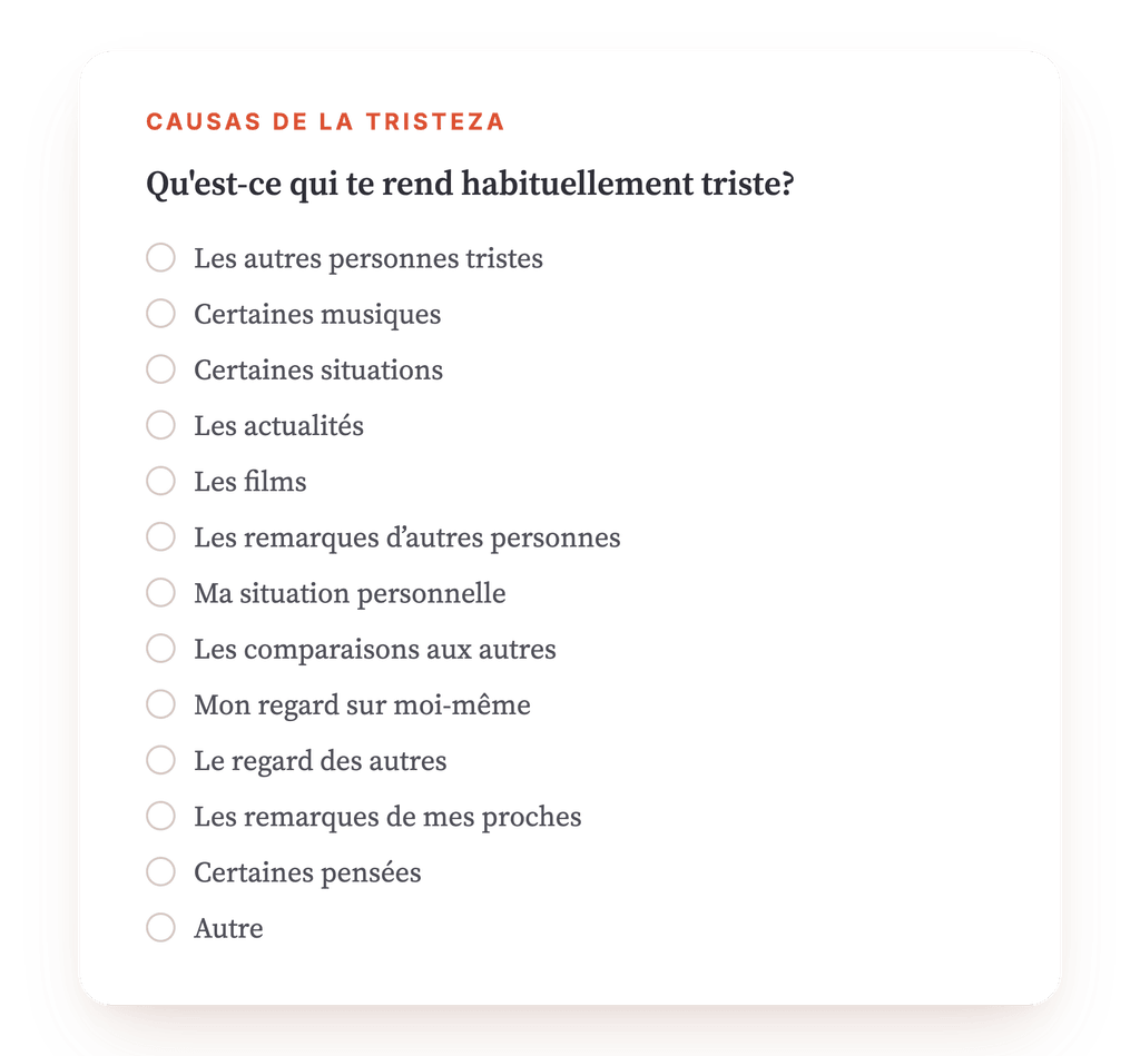 Vista previa, un extracto de una etapa del programa