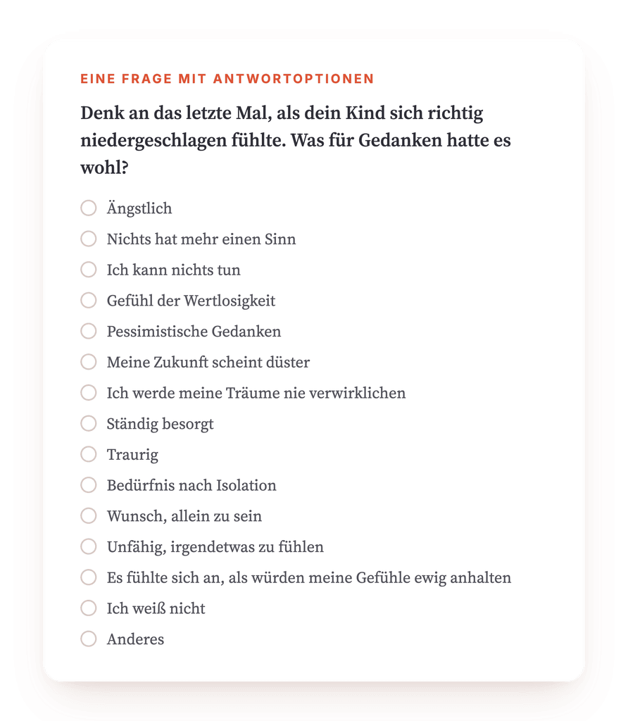 Vorschau, ein Auszug aus einem Schritt des Programms