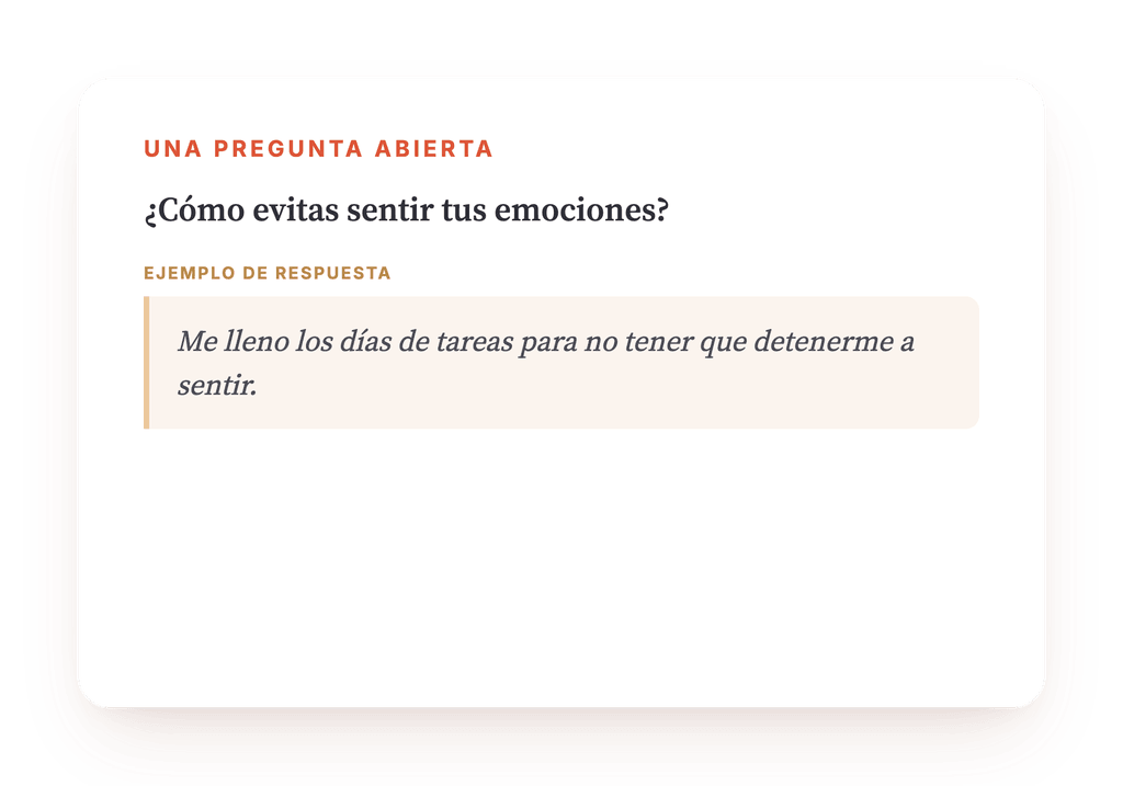 Vista previa, un extracto de una etapa del programa