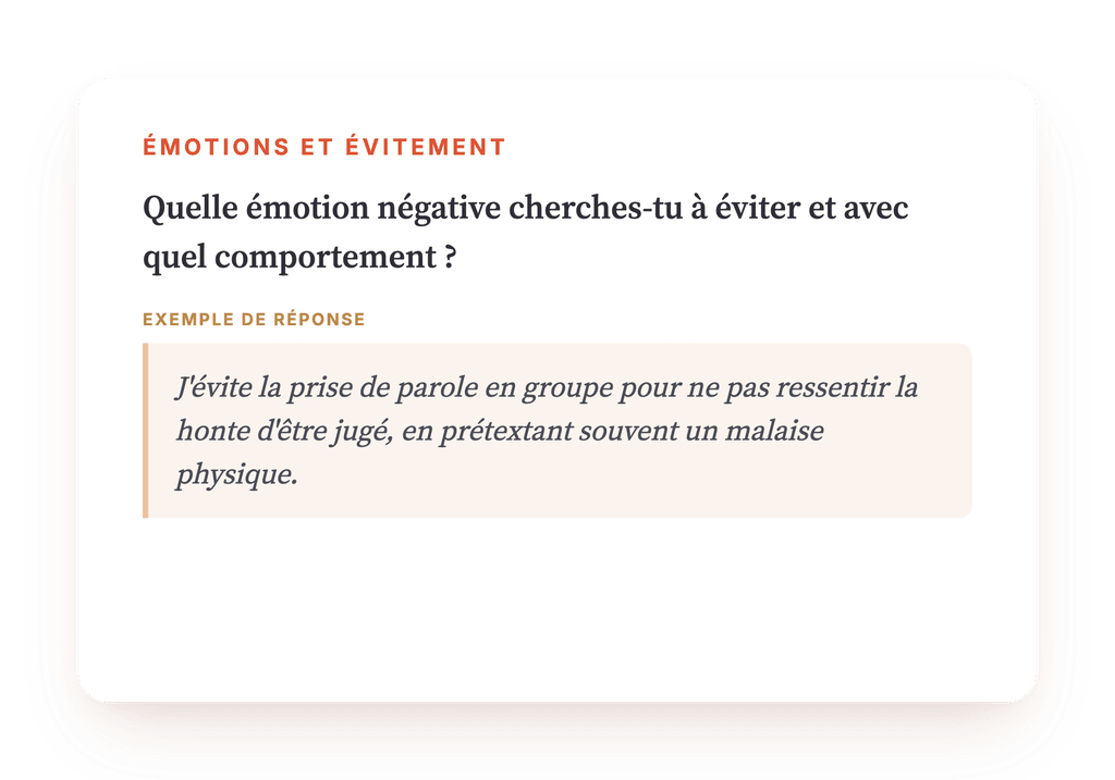 Aperçu, un extrait d'une étape du programme