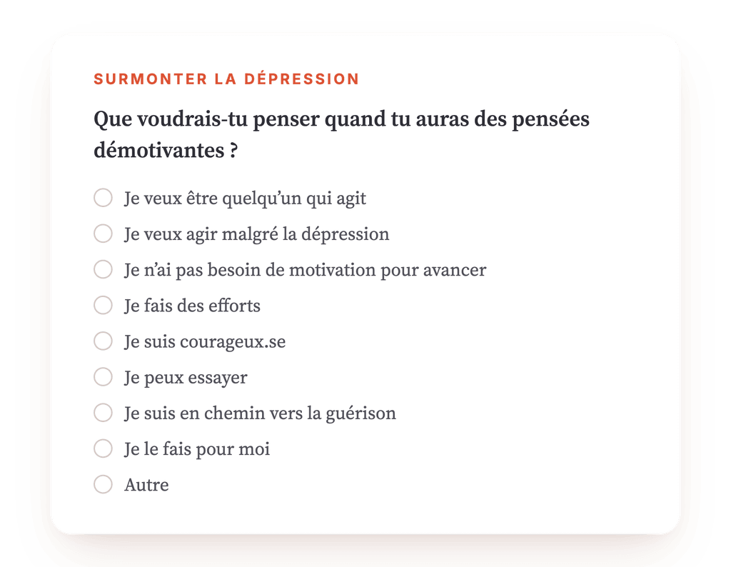 Aperçu, un extrait d'une étape du programme