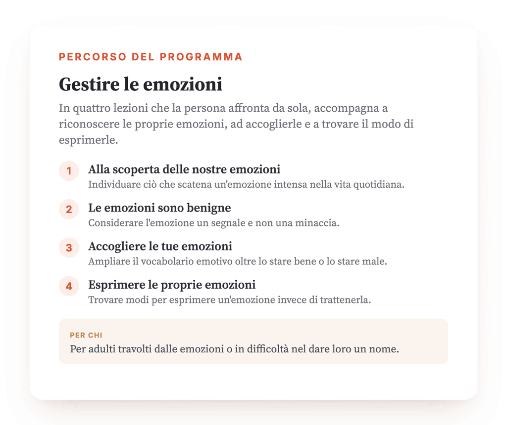 Panoramica del programma · La mappa del programma, lezione per lezione.