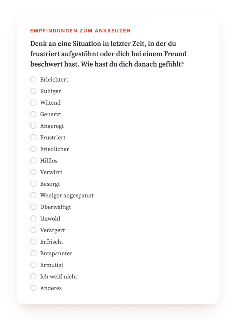 Vorschau, ein Auszug aus einem Schritt des Programms
