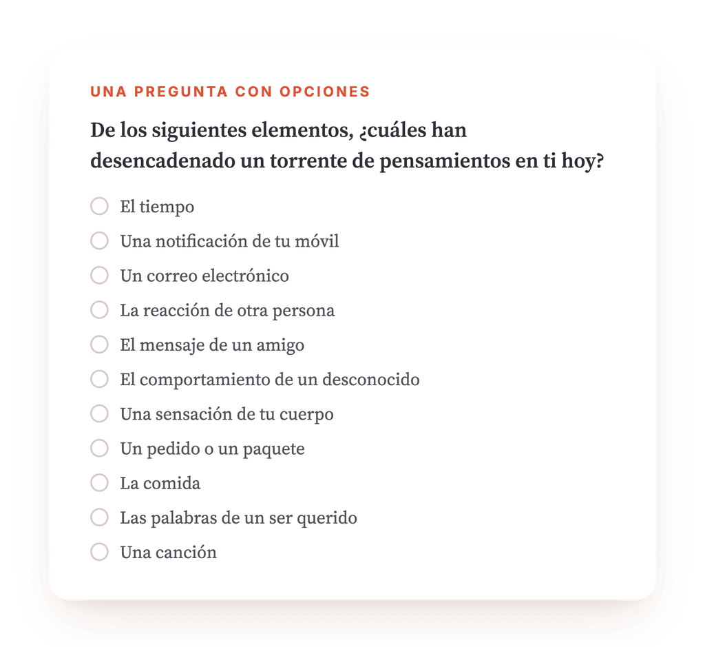 Vista previa, un extracto de una etapa del programa