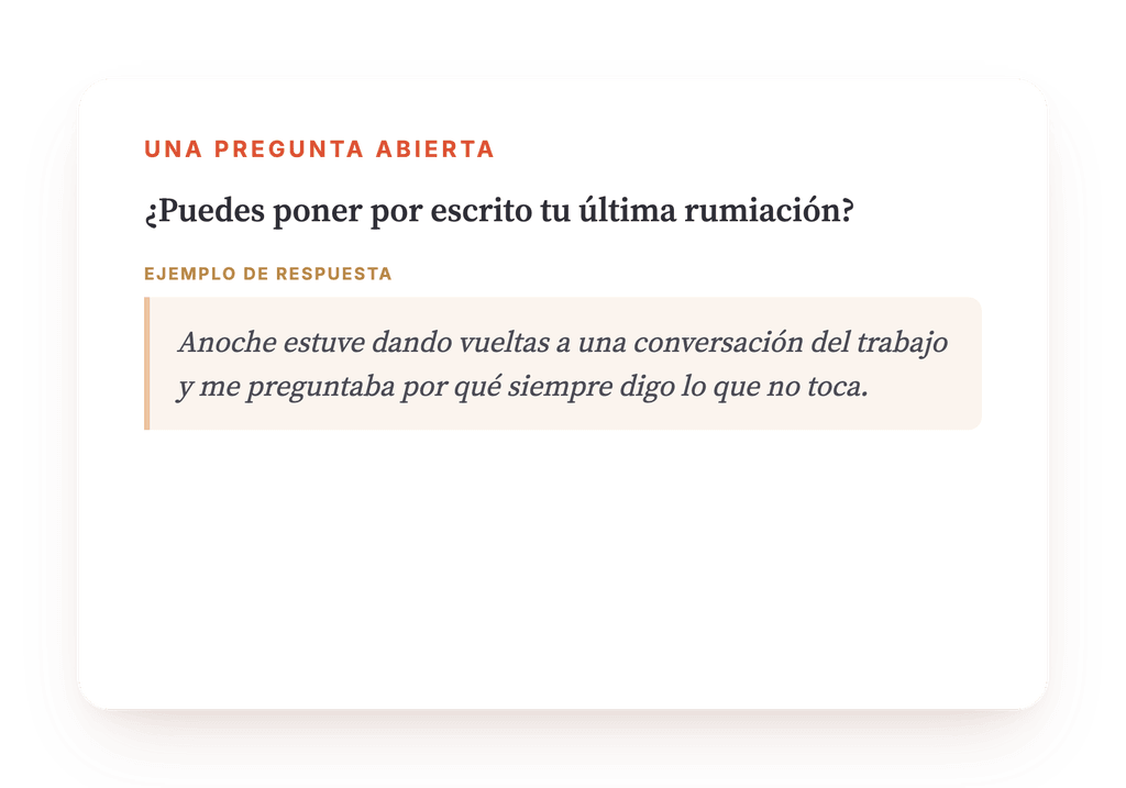 Vista previa, un extracto de una etapa del programa