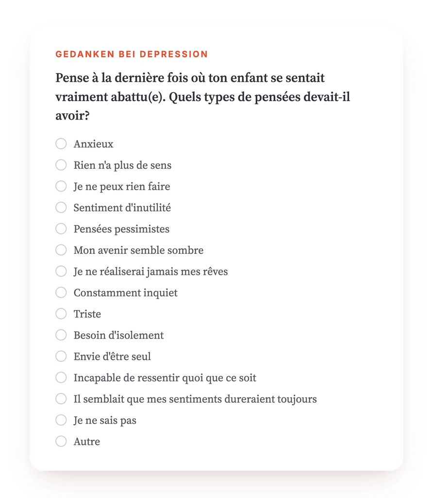 Vorschau, ein Auszug aus einem Schritt des Programms