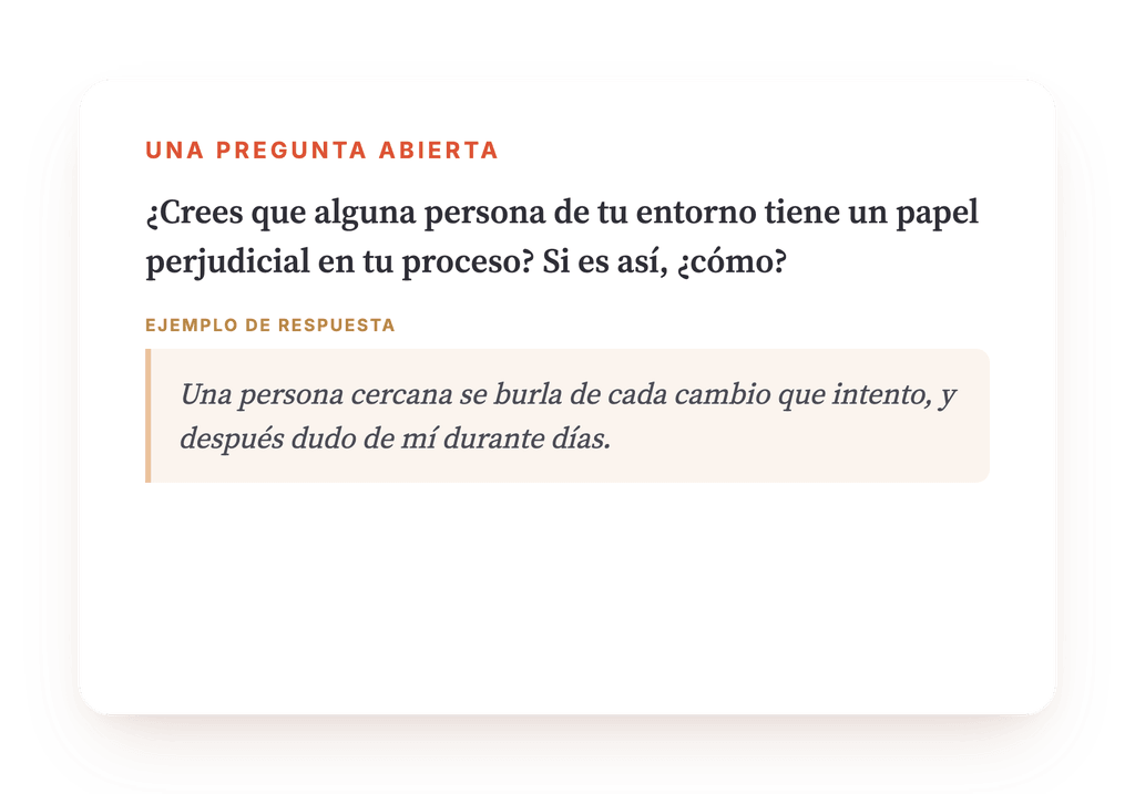 Vista previa, un extracto de una etapa del programa
