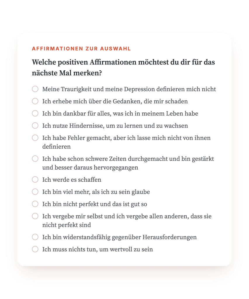 Vorschau, ein Auszug aus einem Schritt des Programms