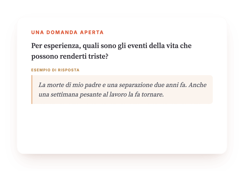 Anteprima, un estratto di una fase del programma