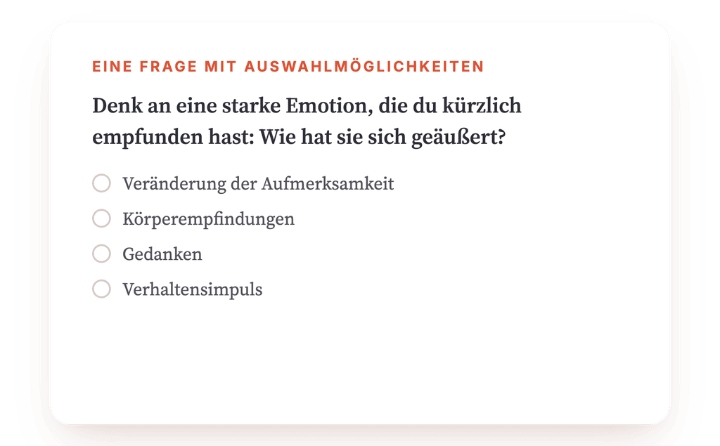 Vorschau, ein Auszug aus einem Schritt des Programms
