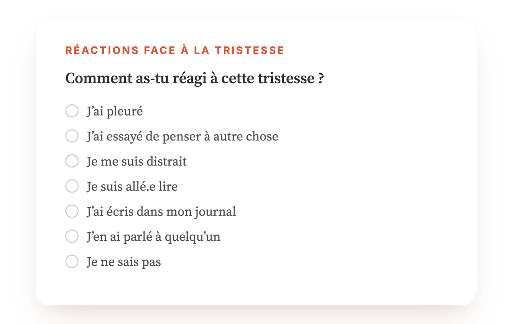 Aperçu, un extrait d'une étape du programme