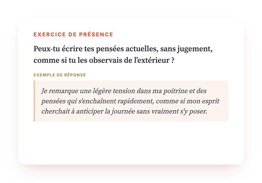 Aperçu, un extrait d'une étape du programme