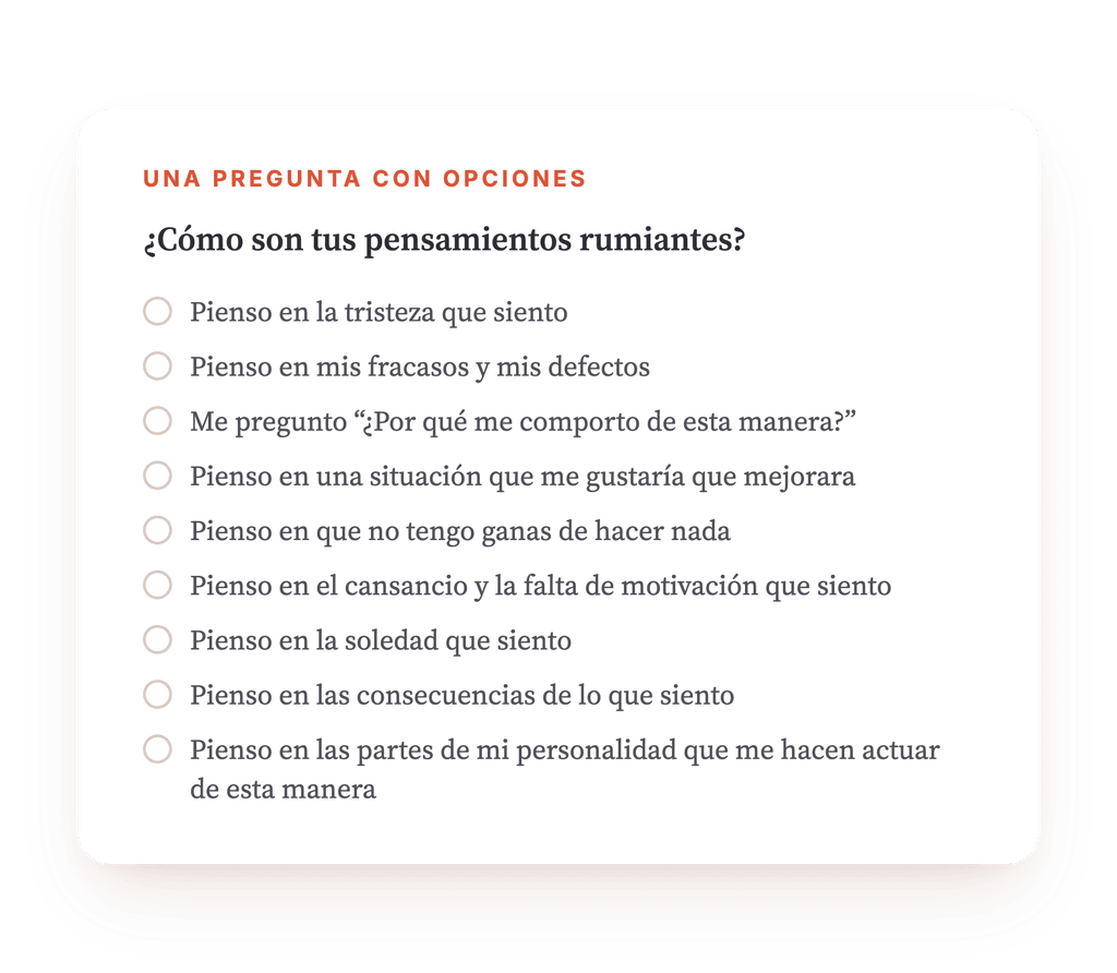 Vista previa, un extracto de una etapa del programa
