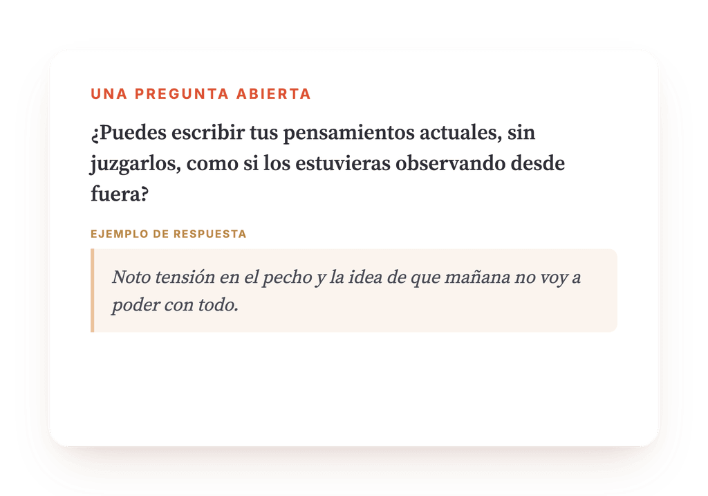 Vista previa, un extracto de una etapa del programa