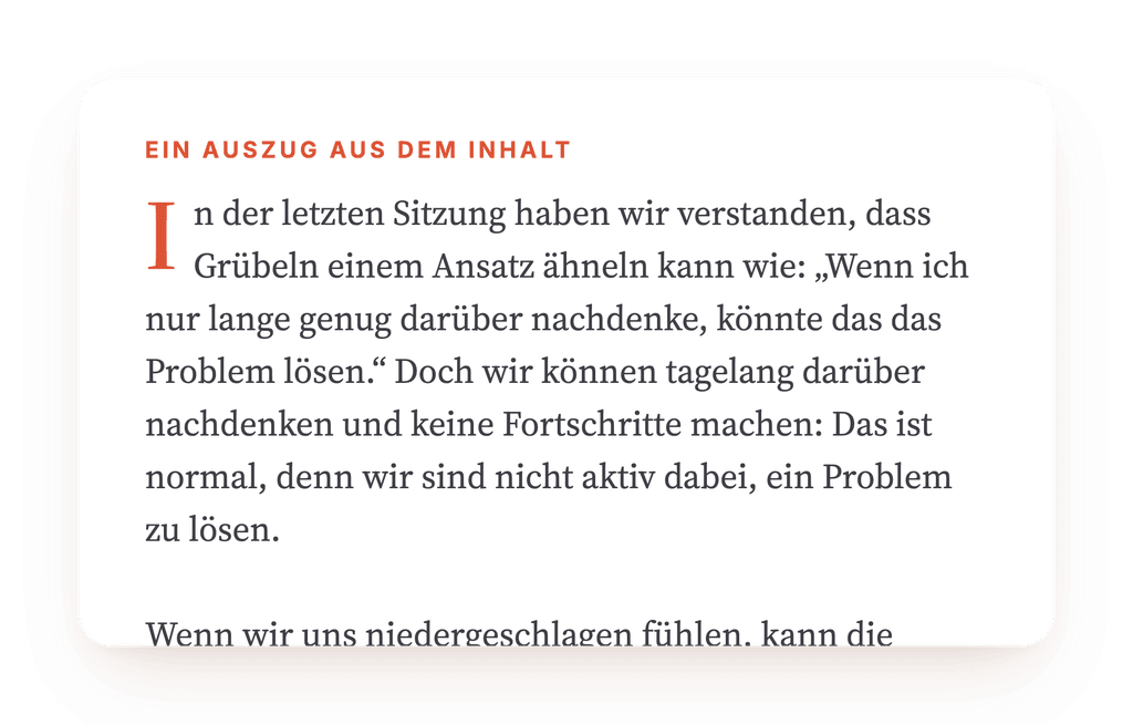 Vorschau, ein Auszug aus einem Schritt des Programms