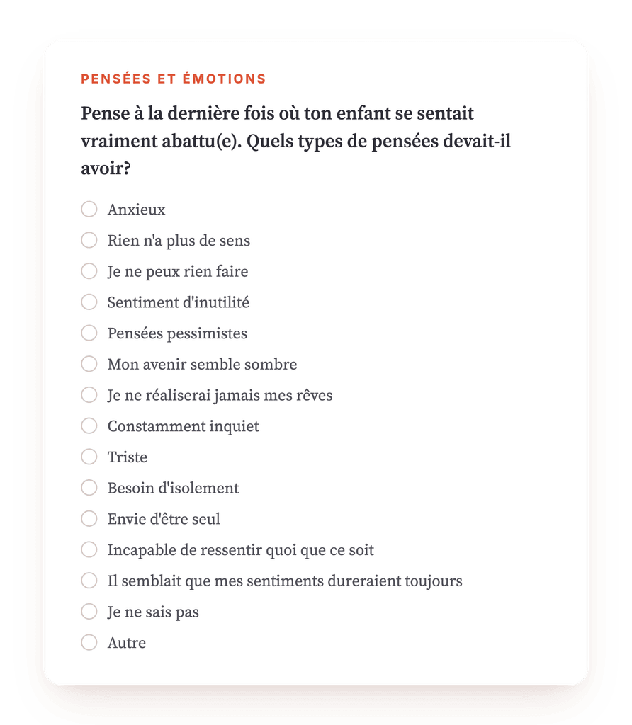 Aperçu, un extrait d'une étape du programme