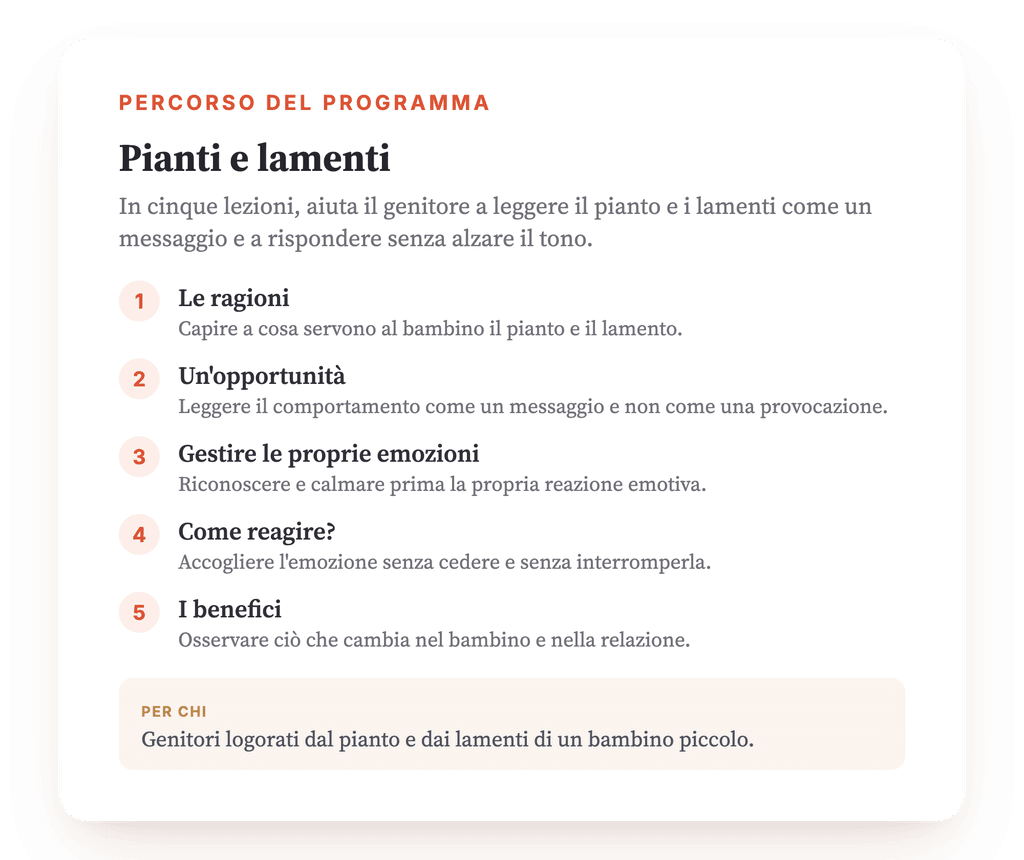 Panoramica del programma · La mappa del programma, lezione per lezione.