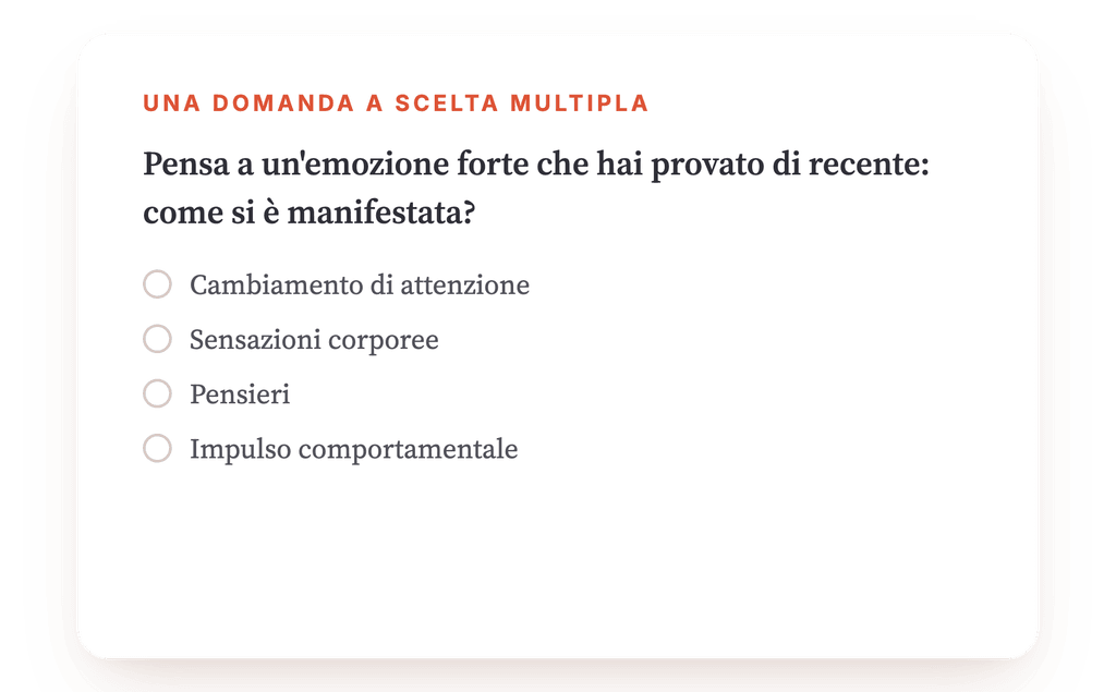 Anteprima, un estratto di una fase del programma