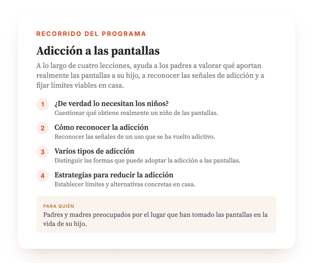 Resumen del programa · El mapa del programa, lección a lección.