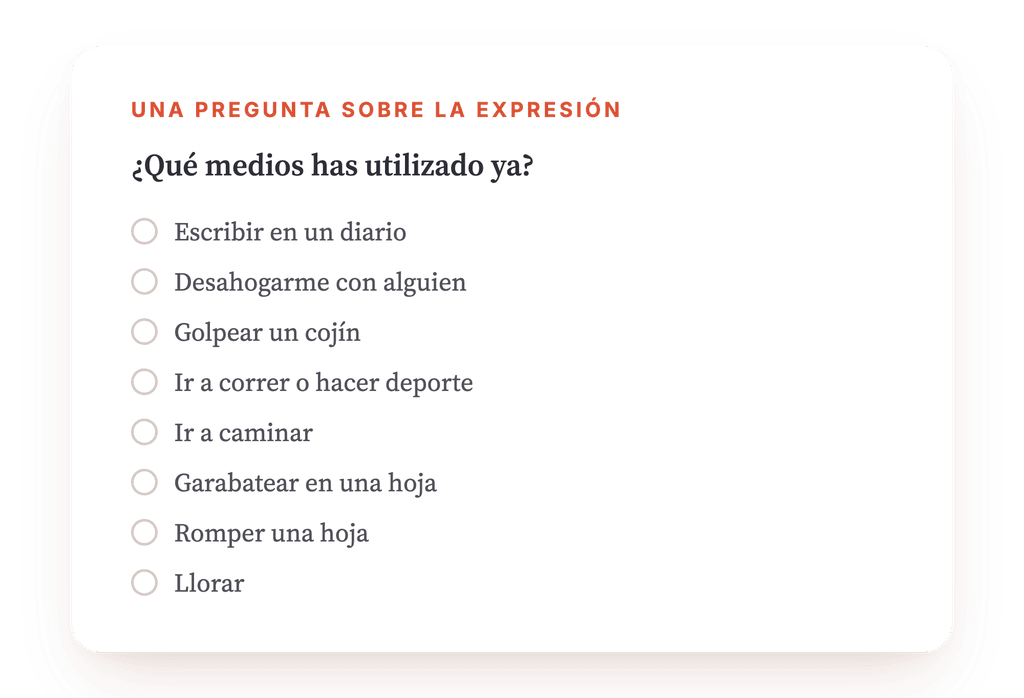 Vista previa, un extracto de una etapa del programa